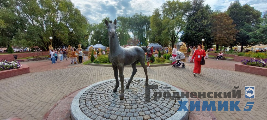 Областные «Дожинки» 2023 года прошли в Зельве